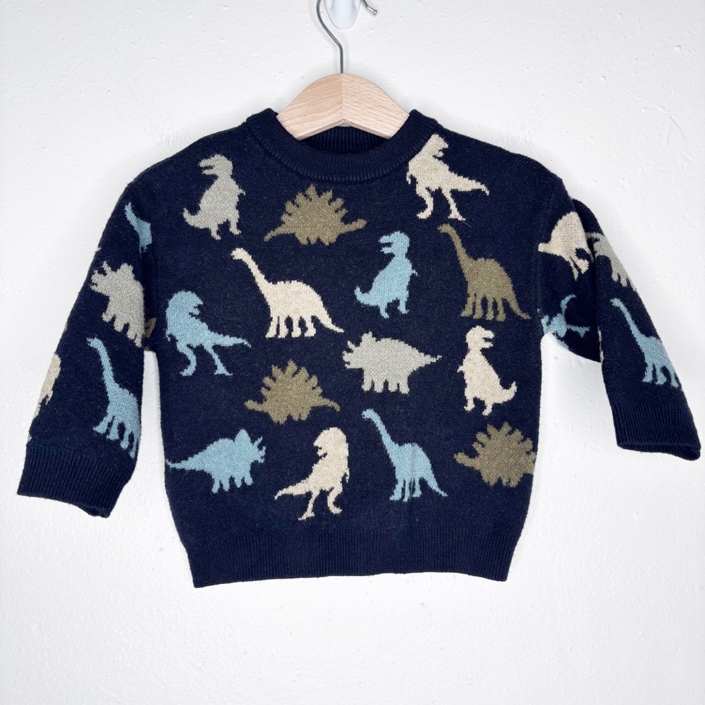 Zara Dinosaur Print Knit Crewneck Sweater Size 9-12M
EUC